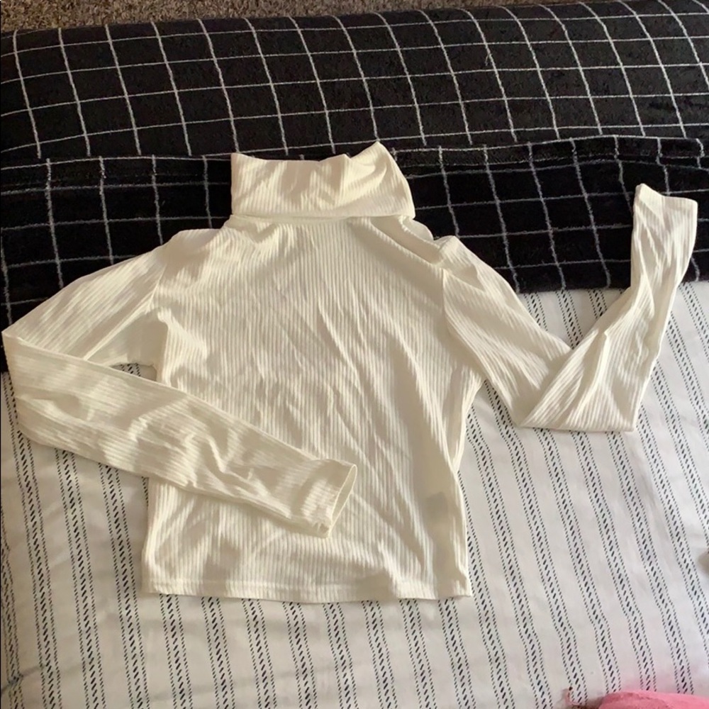 Ribbed Turtleneck
